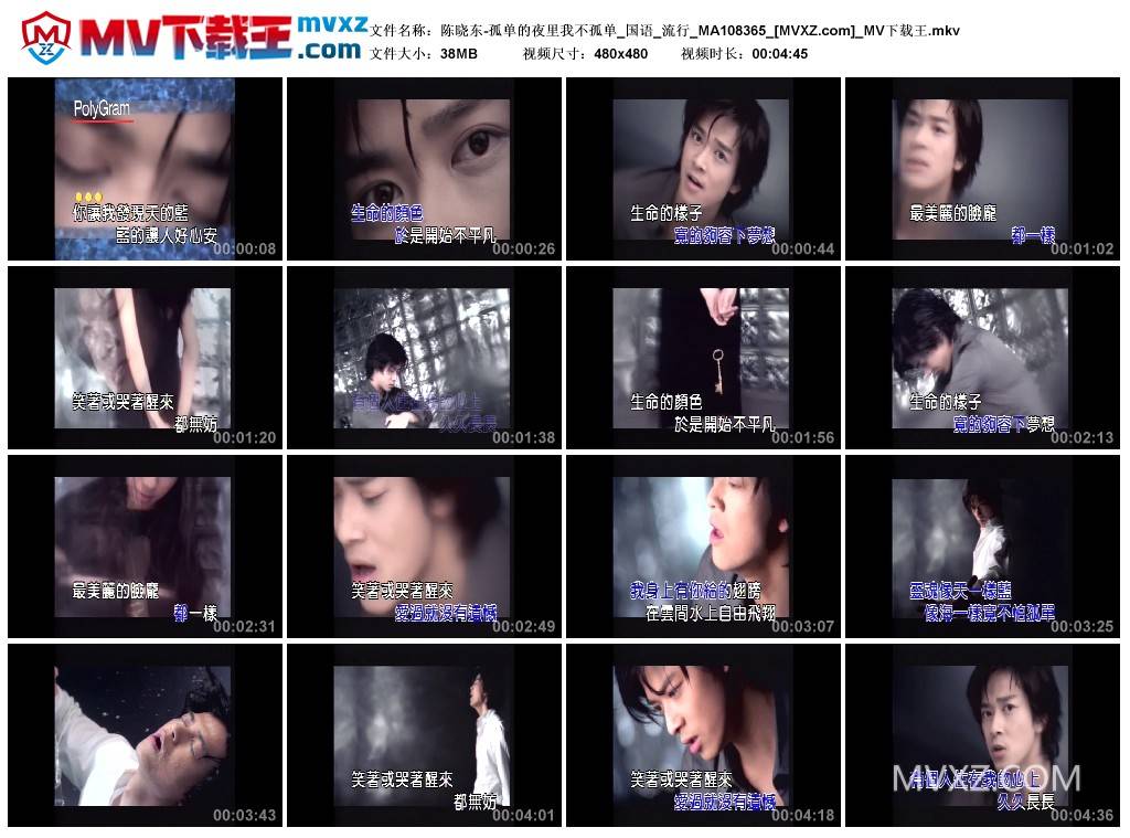 陈晓东-孤单的夜里我不孤单_国语_流行_MA108365